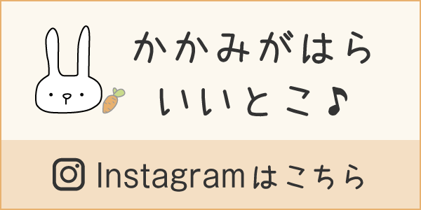 かがみがはらいいとこ インスタ バナー